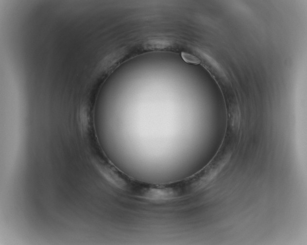 X0000110730455200906121452