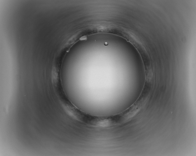 X0000110730456200906121452