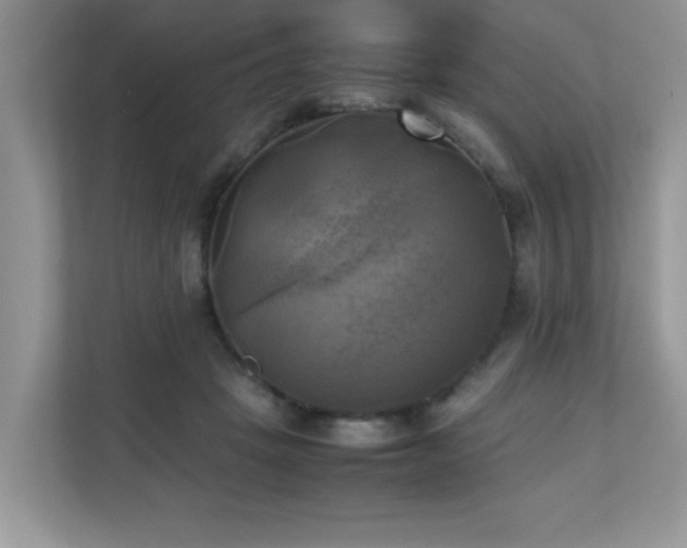 X0000110730457200906121452