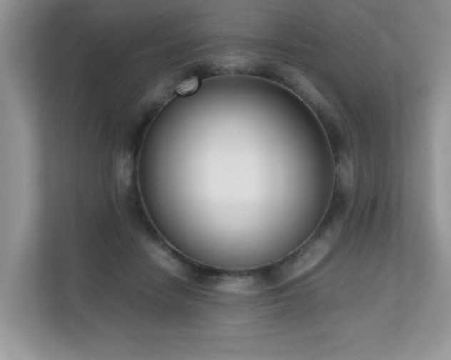 X0000110730458200906121452