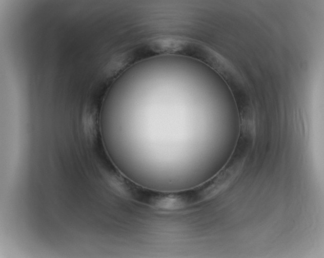 X0000110730460200906121452