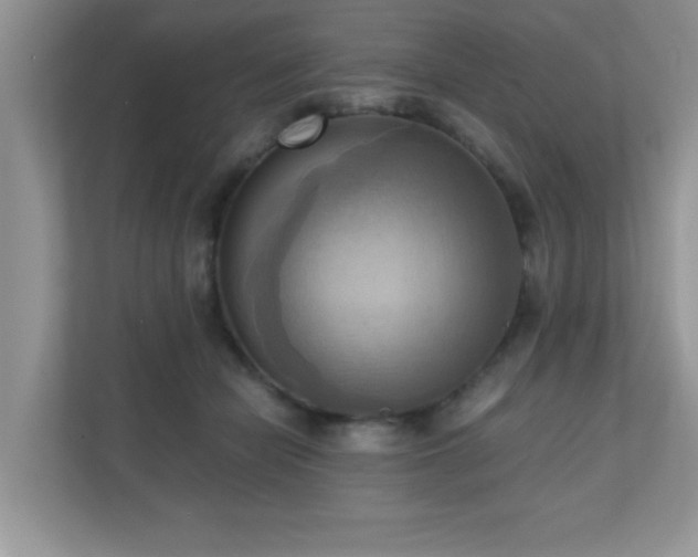 X0000110730462200906121452