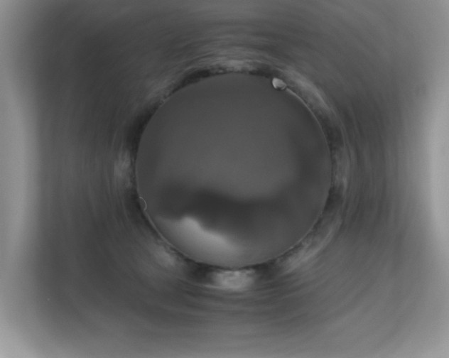 X0000110730465200906121452