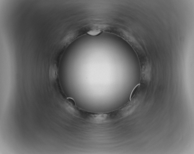 X0000110730474200906121452