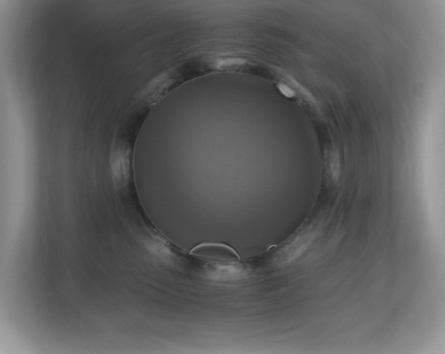 X0000110730475200906121452