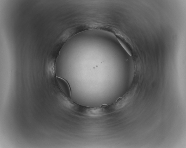 X0000110730479200906121452