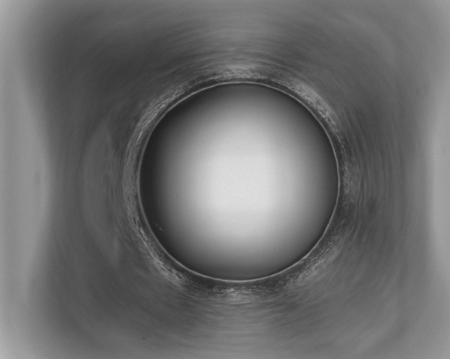 X0000110730481200906121451