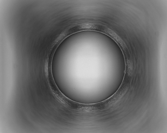 X0000110730482200906121451
