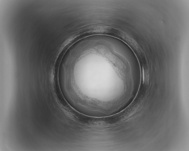 X0000110730483200906121451