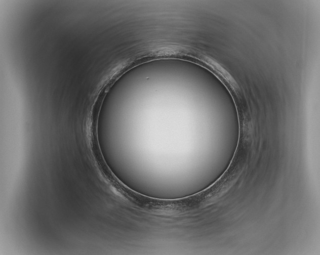 X0000110730485200906121451