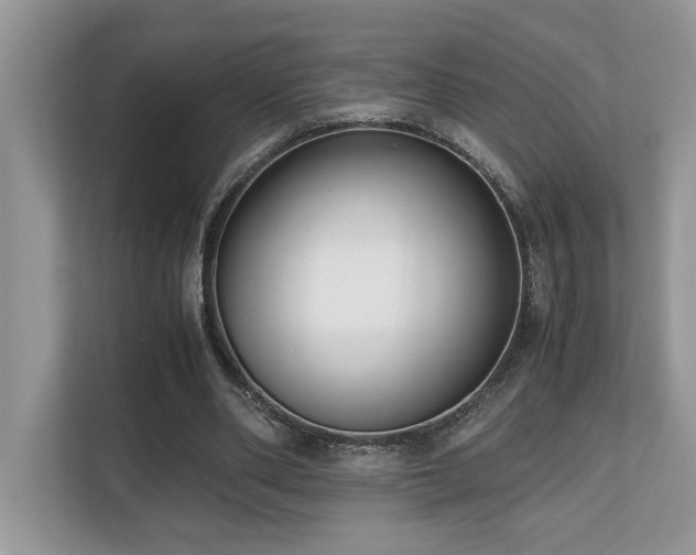 X0000110730486200906121451