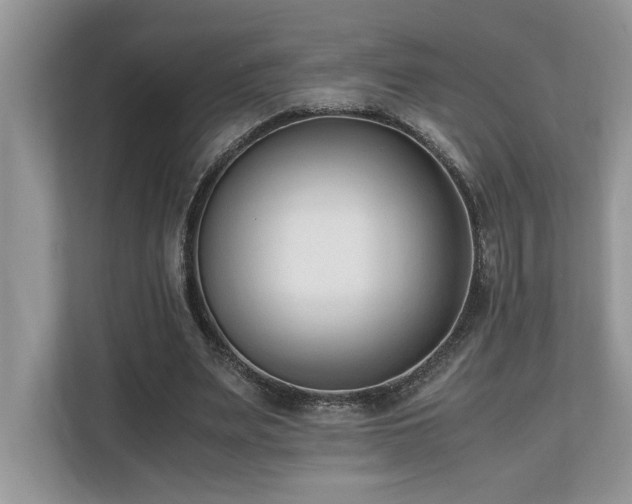 X0000110730487200906121451