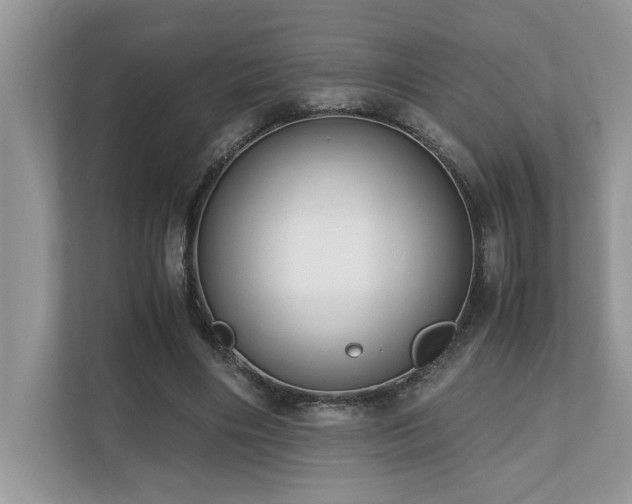 X0000110730490200906121451