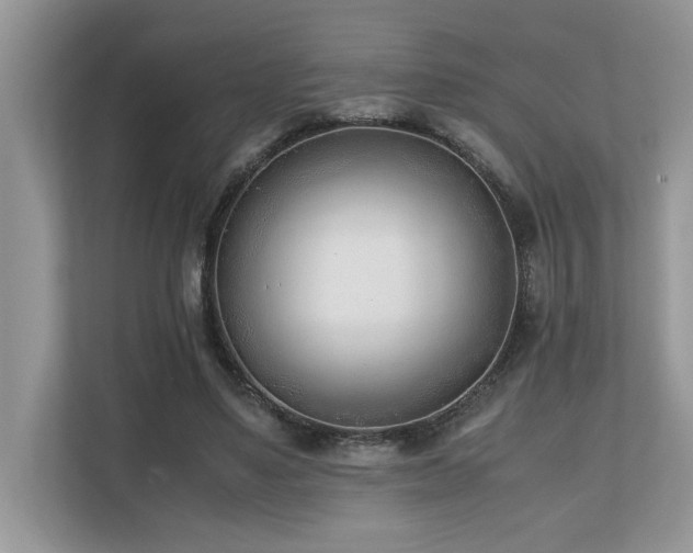 X0000110730491200906121451