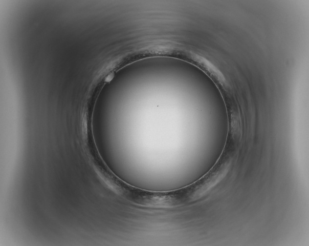 X0000110730493200906121451