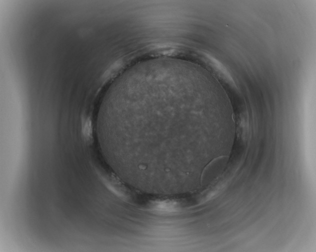 X0000110730500200906121451