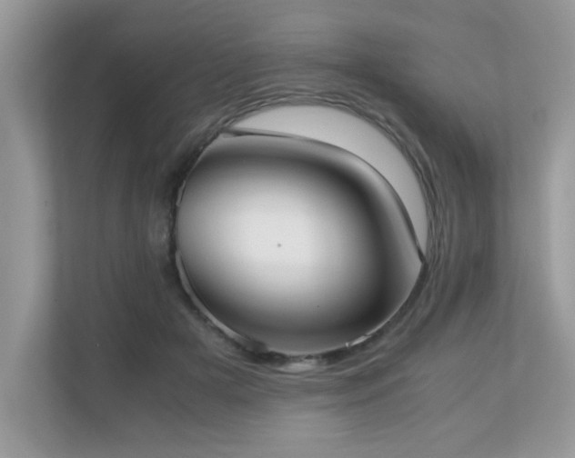 X0000110730505200906121451