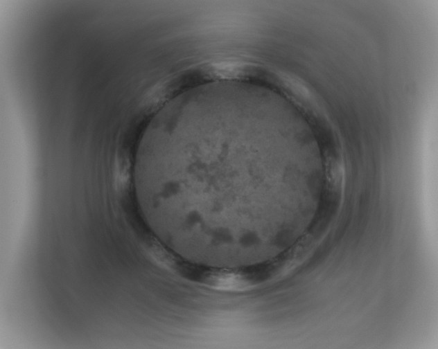 X0000110730507200906121451