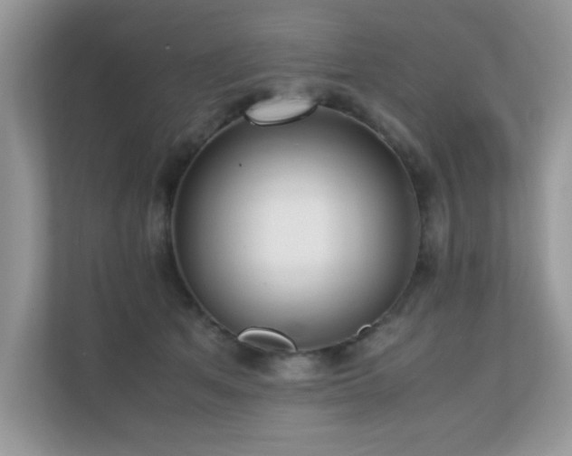 X0000110730513200906121451