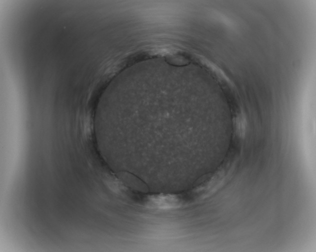 X0000110730517200906121451