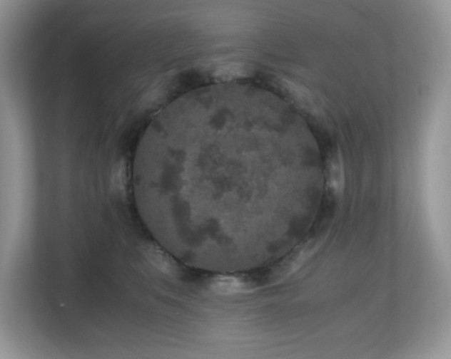 X0000110730519200906121451