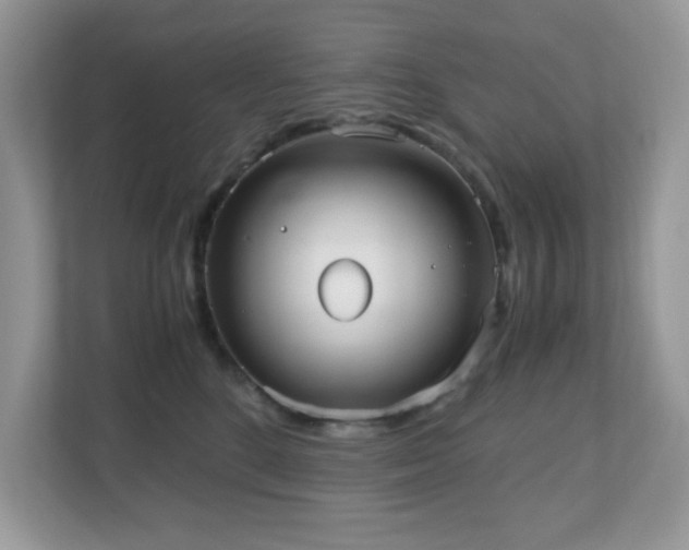 X0000110730520200906121451