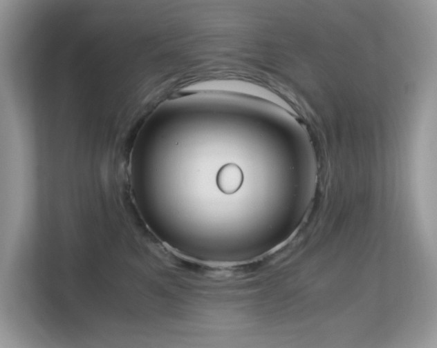X0000110730521200906121451