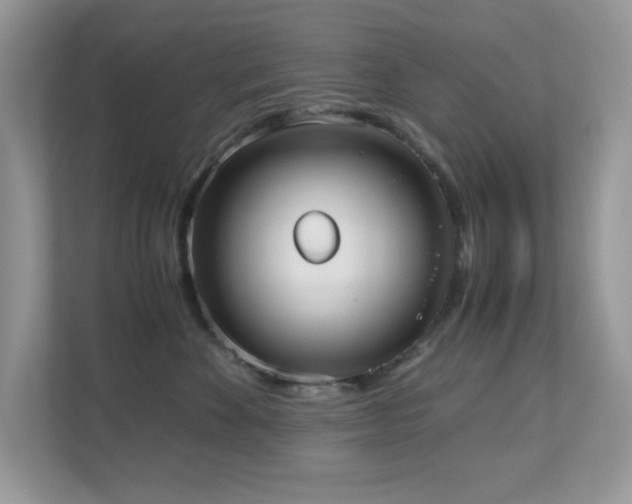 X0000110730524200906121451