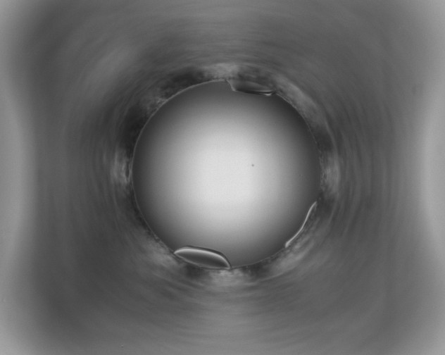 X0000110730525200906121451