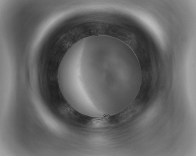 X0000110730526200906121451
