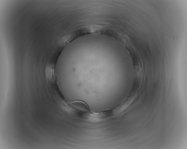 X0000110730527200906121451