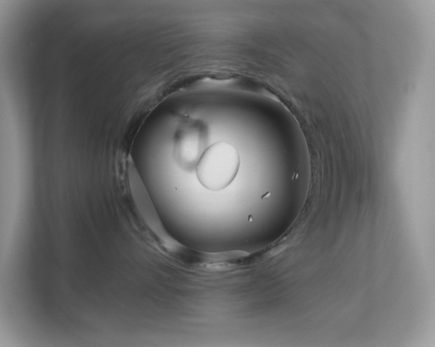 X0000110730528200906121451