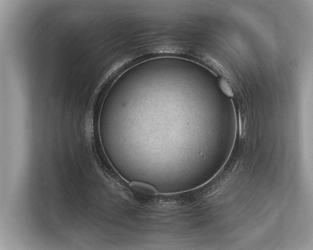 X0000110730531200906121450