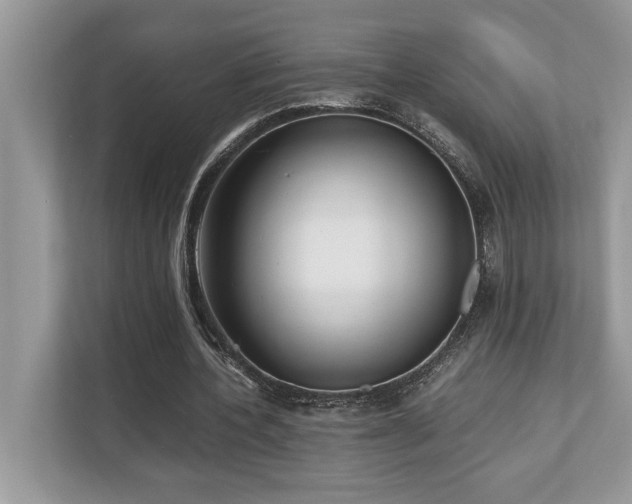 X0000110730532200906121450