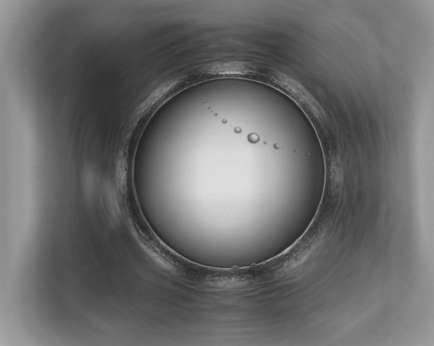 X0000110730533200906121450