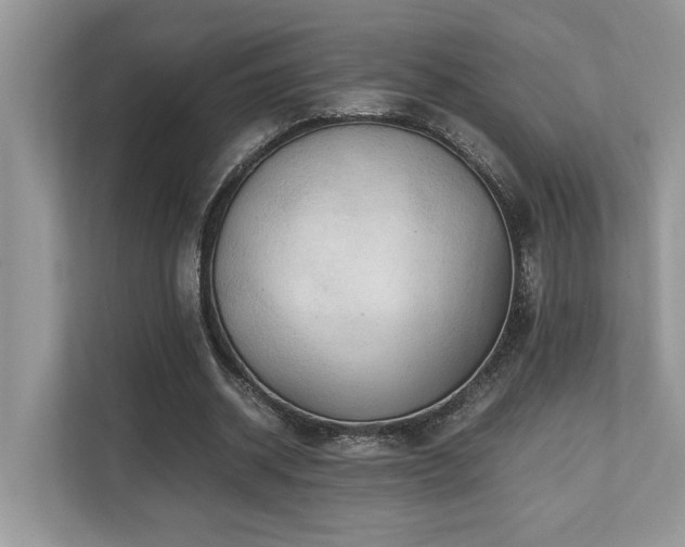 X0000110730534200906121450