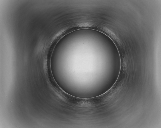 X0000110730535200906121450