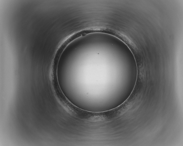 X0000110730536200906121450
