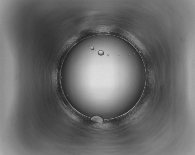 X0000110730537200906121450