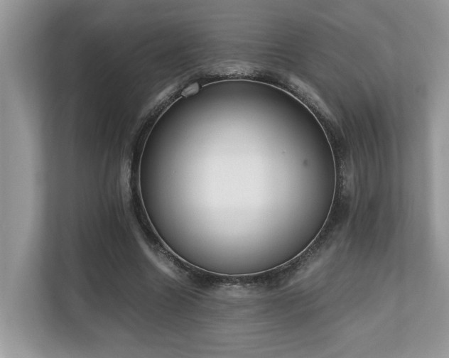 X0000110730538200906121450