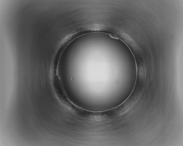 X0000110730540200906121450