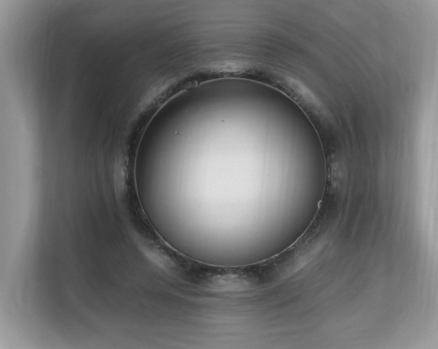 X0000110730544200906121450