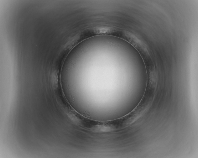 X0000110730545200906121450