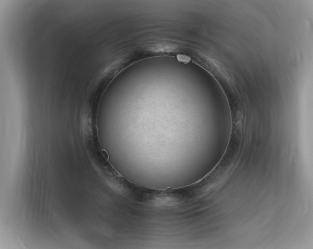X0000110730547200906121450
