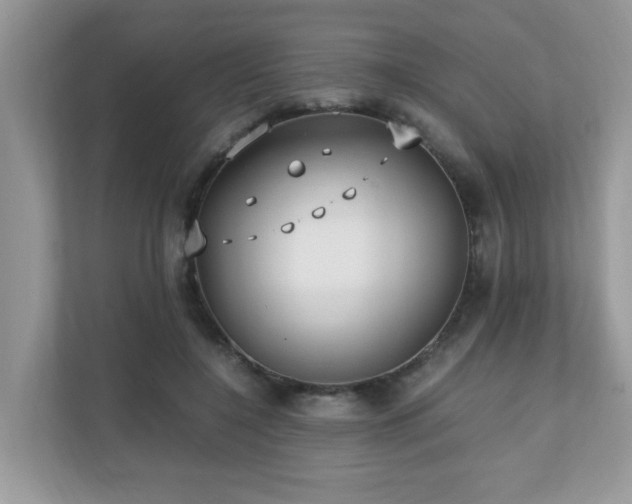 X0000110730548200906121450