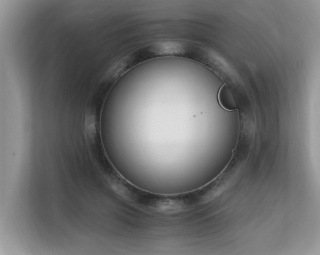 X0000110730549200906121450