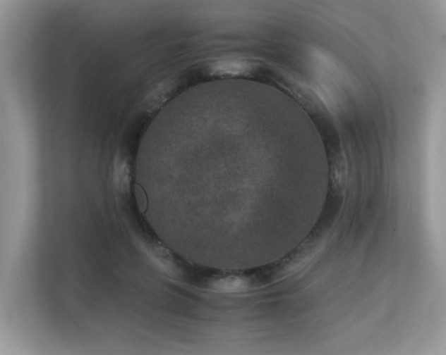 X0000110730551200906121450