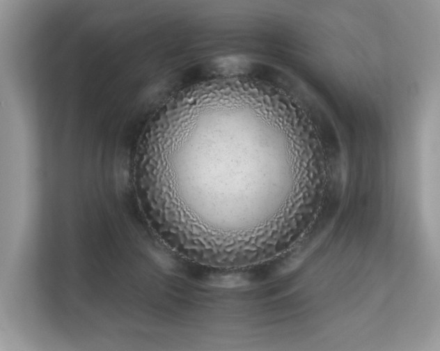 X0000110730553200906121450