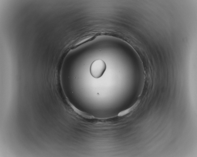 X0000110730556200906121450