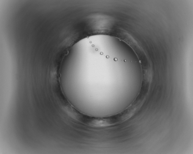 X0000110730557200906121450